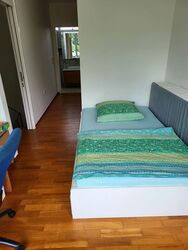 Michaels' Residences (D23), Semi-Detached #402039991